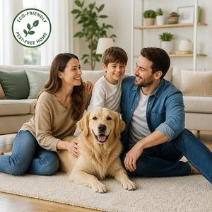 PEST CONTROL IN ALBANY